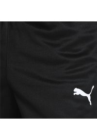 Spodnie fitness męskie Puma teamRISE Poly Training. Kolor: czarny. Sport: fitness