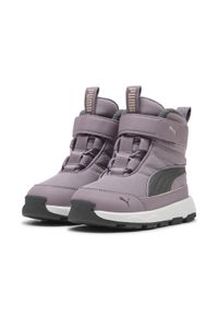Puma - Buty dla małych dzieci PUMA Evolve PUMA Plum Jam Shadow Gray Purple. Kolor: fioletowy, szary, wielokolorowy. Sport: turystyka piesza