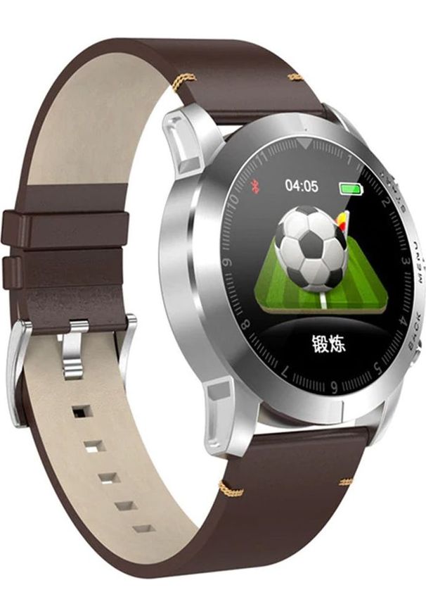 Smartwatch Roneberg RS10 Brązowy. Rodzaj zegarka: smartwatch. Kolor: brązowy