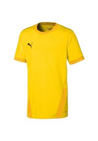 Koszulka dla dzieci Puma teamGOAL 23 Jersey. Kolor: żółty. Materiał: jersey #1