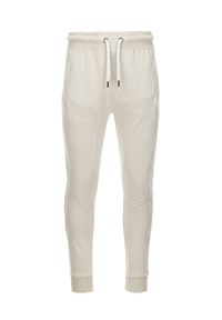 Ombre Clothing - Spodnie męskie dresowe joggery - jasnoszare V1 P948 - XXL. Kolor: szary. Materiał: dresówka