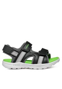 Sandały Geox. Kolor: czarny #1