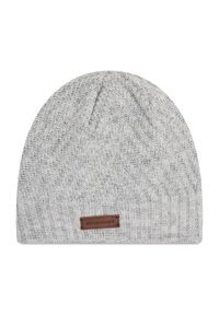 Mammut Czapka Roseg Beanie 1191-00122-0400-1 Szary. Kolor: szary. Materiał: materiał #1