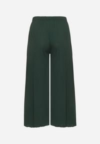Born2be - Zielone Szerokie Spodnie z Plisowanej Tkaniny z Gumką w Pasie Cesele. Kolekcja: plus size. Kolor: zielony. Materiał: tkanina. Styl: elegancki #4