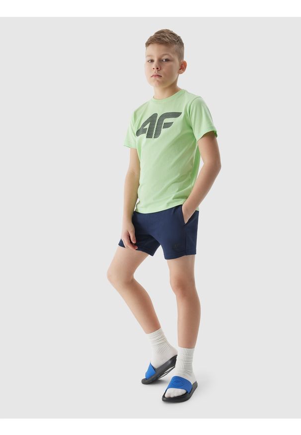 4f - 4F T-shirt z nadrukiem chłopięcy - jasny zielony 164 (13-14 lat). Okazja: na co dzień. Kolor: zielony. Materiał: bawełna, jersey, dzianina. Długość rękawa: krótki rękaw. Długość: krótkie. Wzór: nadruk. Sezon: lato. Styl: sportowy, casual