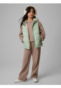 4f - 4F Bezrękawnik z wypełnieniem syntetycznym dziewczęcy - miętowy 140 (9-10 lat). Okazja: na spacer, na co dzień, na uczelnię. Typ kołnierza: kołnierzyk stójkowy. Kolor: turkusowy. Materiał: syntetyk. Długość rękawa: bez rękawów. Sezon: lato. Styl: casual #2