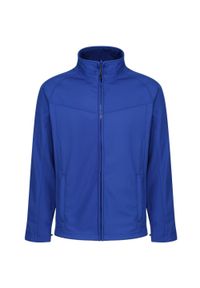 Regatta - Męski Softshell Uproar. Kolor: szary, niebieski, wielokolorowy. Materiał: softshell. Sport: turystyka piesza #1