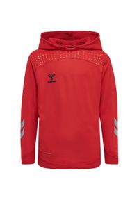 Bluza dziecięca z kapturem Hummel hmlLEAD poly. Typ kołnierza: kaptur. Kolor: czerwony, różowy, wielokolorowy. Sport: joga i pilates
