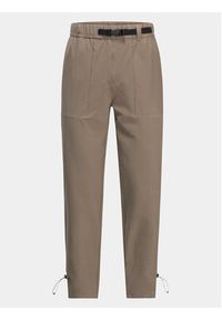 Jack Wolfskin Spodnie outdoor Kiebitzweg Pants 1508471 Brązowy Regular Fit. Kolor: brązowy. Materiał: syntetyk. Sport: outdoor #3