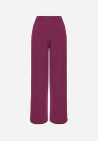 Born2be - Fioletowe Spodnie Szerokie High Waist Iners. Stan: podwyższony. Kolor: fioletowy. Materiał: tkanina #4