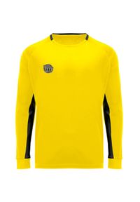FOOTBALL MASTERS - Bluza bramkarska chłopięca Football Masters. Kolor: żółty. Sport: piłka nożna #1