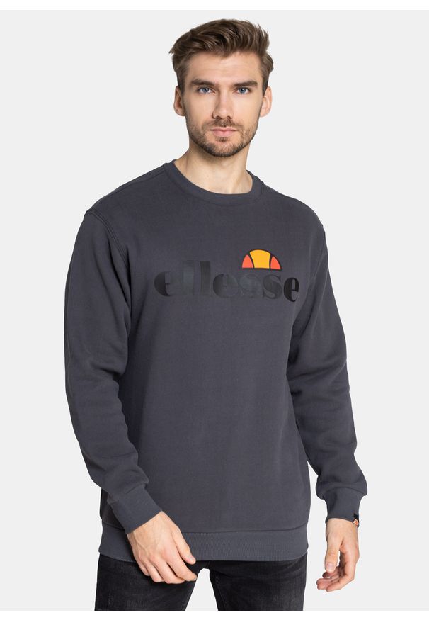 Bluza męska Ellesse Succiso (SHC07930-103). Kolor: szary. Wzór: kolorowy. Sezon: lato. Styl: street