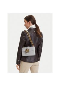 Torebka Just Cavalli. Kolor: szary #1