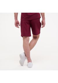 Spodenki fitness męskie Puma Active. Kolor: czerwony. Materiał: materiał. Sport: fitness
