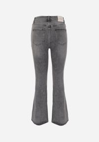 Renee - Szare Jeansy Flare Regular Waist z Bawełną i Dodatkiem Wiskozy Arritina. Okazja: na co dzień. Kolor: szary. Długość: krótkie. Styl: retro, klasyczny, casual #2