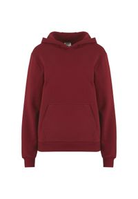 Bluza damska z kapturem Urban Classics Organic Loose Brushed. Typ kołnierza: kaptur. Kolor: czerwony, wielokolorowy, brązowy #1