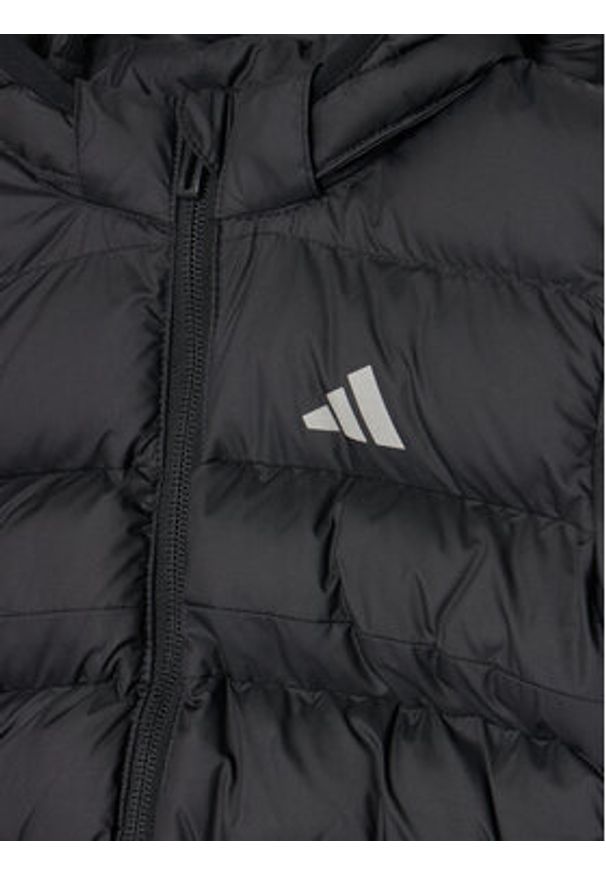 Adidas - adidas Kurtka zimowa JL7389 Czarny Regular Fit. Kolor: czarny. Materiał: syntetyk. Sezon: zima