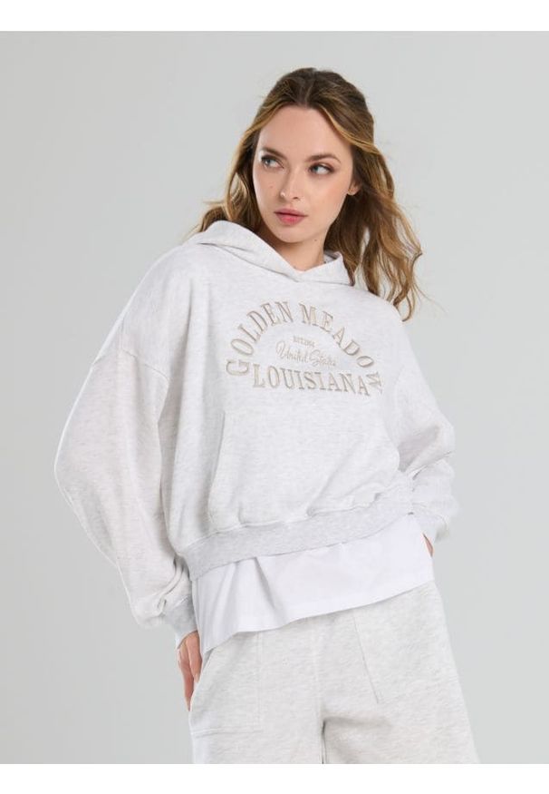 Sinsay - Bluza hoodie z haftowanym napisem - szary. Kolor: szary. Wzór: napisy, haft