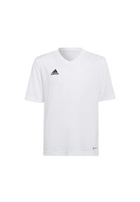 Adidas - Koszulka piłkarska dla dzieci adidas Entrada 22 Jersey. Kolor: biały. Materiał: poliester. Sport: piłka nożna