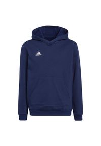 Adidas - Bluza piłkarska dla dzieci adidas Entrada 22 Hoody. Kolor: niebieski. Sport: piłka nożna #1