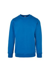 Bluza Urban Classics organic basic crew. Kolor: niebieski. Materiał: bawełna #1