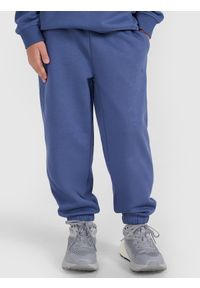 4f - 4F Spodnie dresowe joggery chłopięce - niebieskie 122 (6-7 lat). Okazja: na co dzień. Kolor: niebieski. Materiał: dresówka. Wzór: ze splotem, gładki. Sezon: lato. Styl: młodzieżowy, sportowy, casual