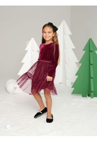 Sinsay - Sukienka - bordowy. Kolor: czerwony. Materiał: tiul. Styl: wizytowy #1