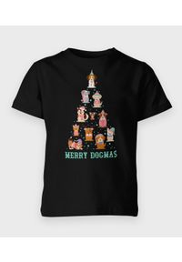 MegaKoszulki - Koszulka dziecięca Dogmas. Materiał: bawełna #1