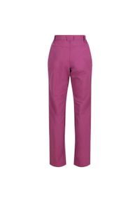 Regatta - Damskie Spodnie Trekkingowe Ze Stretchem Questra IV. Kolor: różowy. Sezon: lato. Sport: turystyka piesza #2