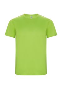 ROLY - Dziecięca/niemowlęca Koszulka Sportowa Imola Z Krótkim Rękawem. Kolor: szary. Długość rękawa: krótki rękaw. Długość: krótkie