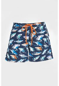 PAUL & SHARK - Kąpielówki męskie PAUL&SHARK #1