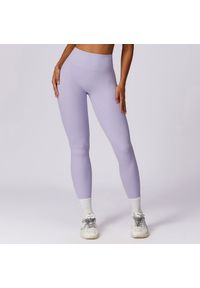 Intica - Legginsy treningowe z wysokim stanem do ćwiczeń Diega. Stan: podwyższony. Kolor: fioletowy. Materiał: materiał. Sport: fitness