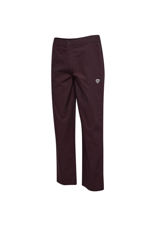 Spodnie chino Hummel Bee. Kolor: brązowy. Długość: długie