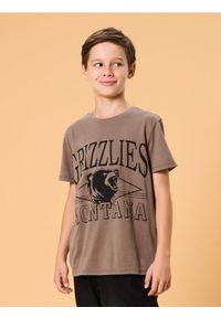 Sinsay - Bawełniana koszulka z napisem - brązowy. Kolor: brązowy. Materiał: bawełna. Wzór: napisy #1