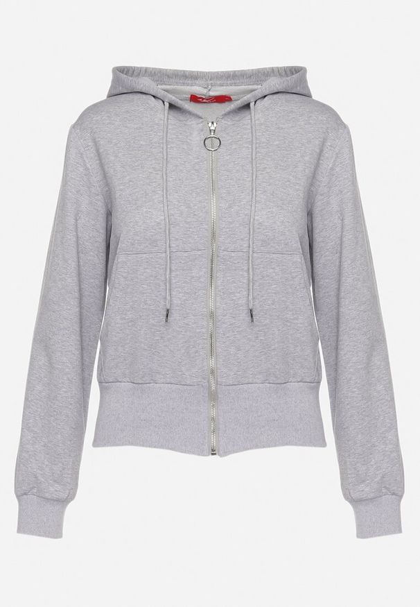 Born2be - Szara Bluza z Kapturem Zapinana na Zamek Błyskawiczny Etarvia. Typ kołnierza: kaptur. Kolor: szary. Sezon: lato, wiosna. Styl: klasyczny