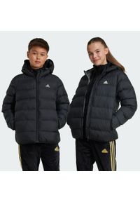 Adidas - Kurtka Synthetic Down. Kolor: czarny. Materiał: puch, materiał