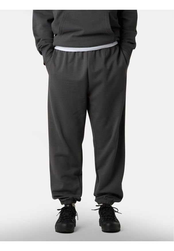 The North Face Spodnie dresowe Expedition Celebration NF0A8E3E Szary Relaxed Fit. Kolor: szary. Materiał: bawełna