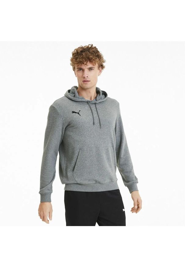 Bluza treningowa męska Puma teamGOAL 23 Causals Hoody. Kolor: szary, czarny, wielokolorowy. Sport: fitness