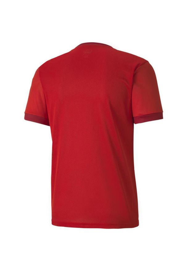 Koszulka męska Puma teamGOAL 23 Jersey. Kolor: czerwony. Materiał: jersey. Sport: piłka nożna