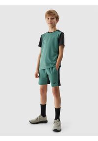 4f - Koszulka sportowa szybkoschnąca chłopięca - zielona. Kolor: zielony. Materiał: syntetyk, elastan, materiał, włókno, dzianina. Długość rękawa: krótki rękaw. Długość: krótkie. Wzór: ze splotem, nadruk, gładki. Sport: fitness, bieganie