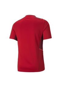 Podkoszulek Puma Teamcup Training Jersey, Mężczyźni. Kolor: czerwony. Materiał: jersey. Sport: piłka nożna