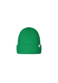 Czapka Barts Kinabalu. Kolor: zielony. Sezon: zima. Styl: sportowy #1