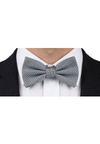 Mucha Męska z Poszetką - Chattier - Srebrna z Drobnym Wzorem. Kolor: srebrny. Styl: elegancki, sportowy #3