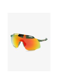 Okulary przeciwsłoneczne Dynafit Alpine Evo Sunglasses - sage/thyme. Kolor: zielony