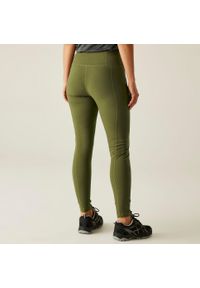 Regatta - Legginsy trekkingowe damskie Monira. Kolor: zielony. Materiał: materiał. Sport: turystyka piesza