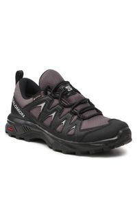 salomon - Salomon Trekkingi X Braze Gtx GORE-TEX L47180700 Szary. Kolor: szary. Materiał: materiał