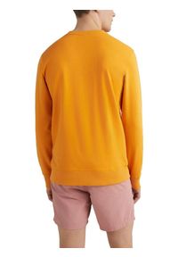 Bluza męska O'Neill O`Neill Crew. Kolor: żółty, pomarańczowy, wielokolorowy. Styl: retro