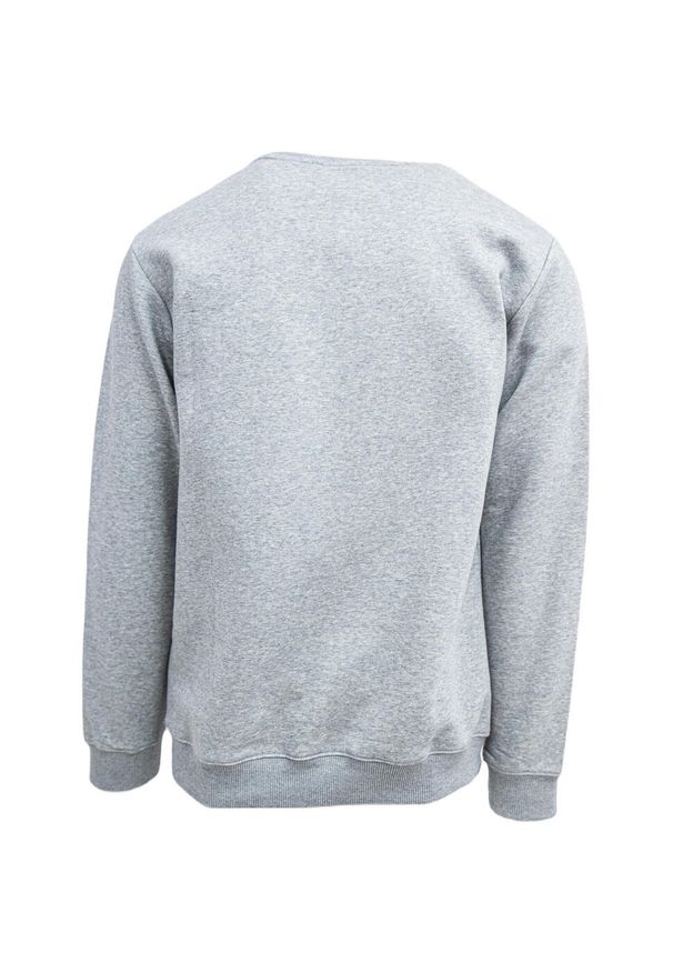 Bluza DC Shoes Density Zone, Mężczyźni. Kolor: szary