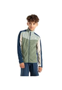 DARE 2B - Bluza Termoaktywna Dla Dzieci. Kolor: zielony, niebieski, wielokolorowy. Sport: turystyka piesza