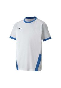 Puma - Koszulka Dziecięca TeamGoal. Kolor: niebieski, wielokolorowy, biały
